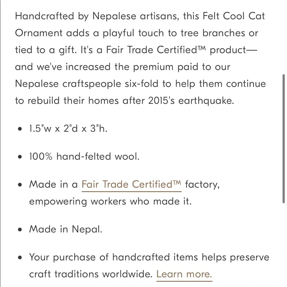Felt cool cat ornament made in Nepal New in pack west elm